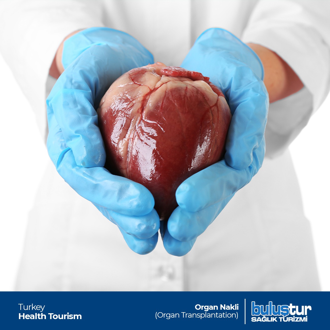 Organ Nakli | Sağlık Hizmetleri Türkiye Organ Nakli (Organ Transplantation)
