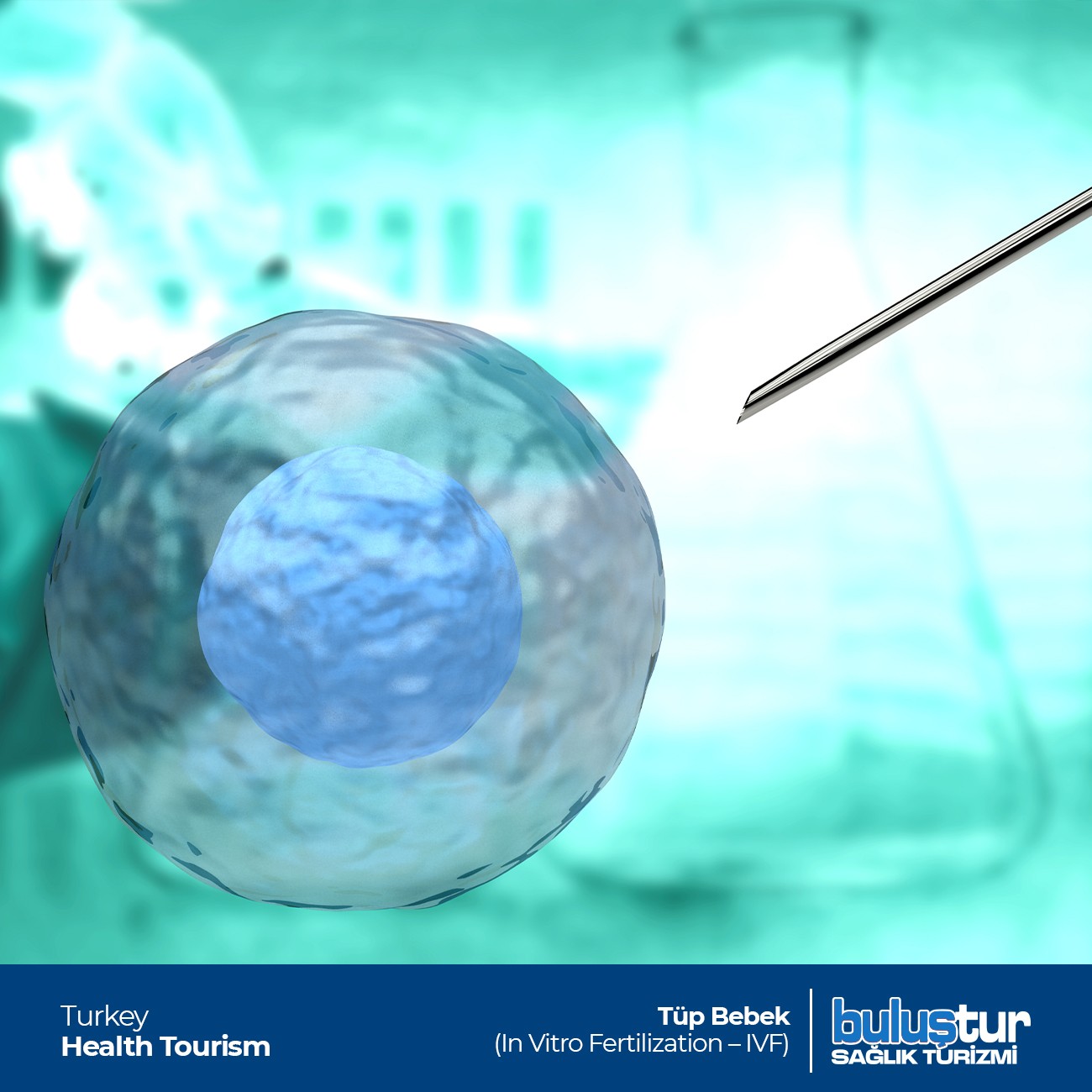 Tüp Bebek | Sağlık Hizmetleri Türkiye Tüp Bebek (In Vitro Fertilization - IVF)