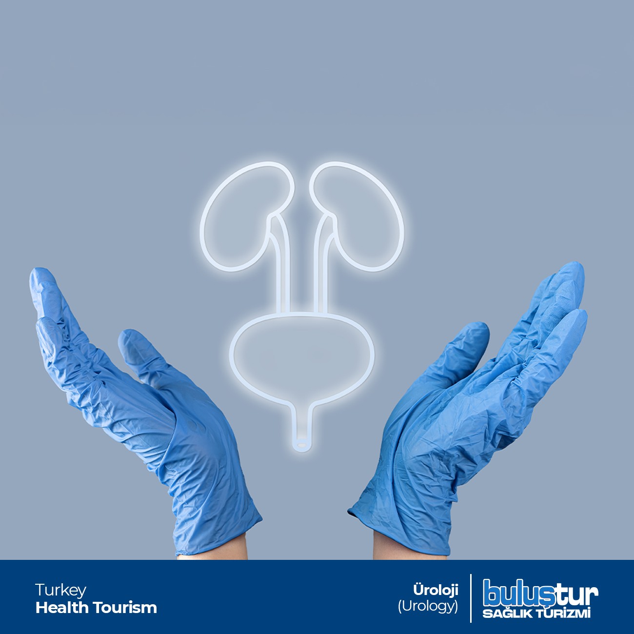 Üroloji | Sağlık Hizmetleri Türkiye Üroloji (Urology)